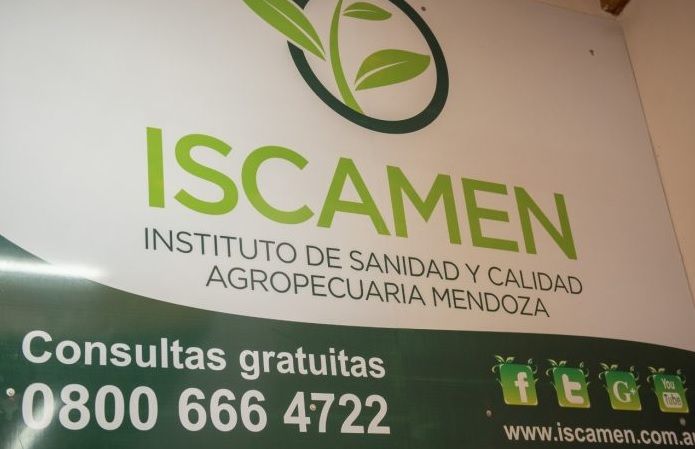 Atención productores de pepita y nogales del Valle de Uco