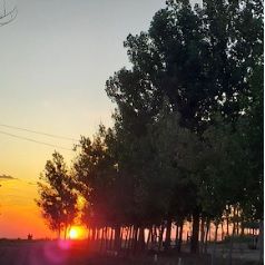 «Luces y Sombras» de la semana que pasó