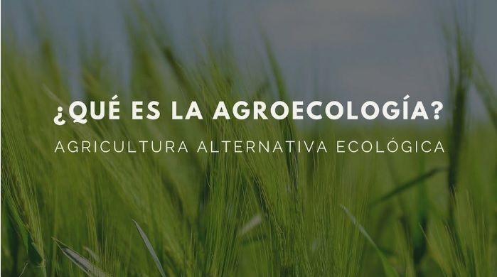 INTA te ofrece la posibilidad de saber qué es la Agroecología
