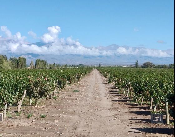 «Luces y Sombras» de la semana que pasó