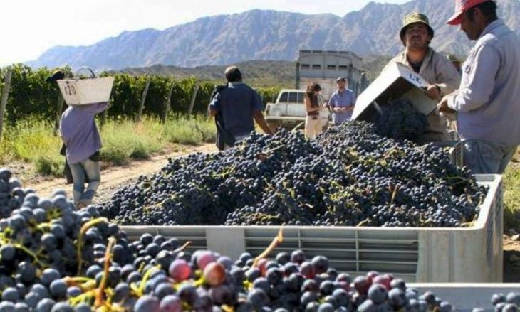 Avanza el Proviar II, programa de apoyo para Pequeños Productores Vitivinícolas de Argentina