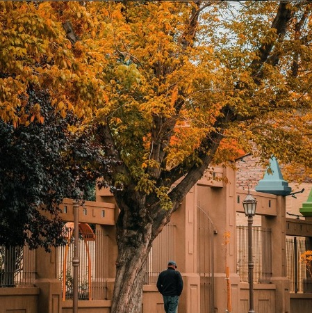 «Luces y Sombras» de la semana que pasó.