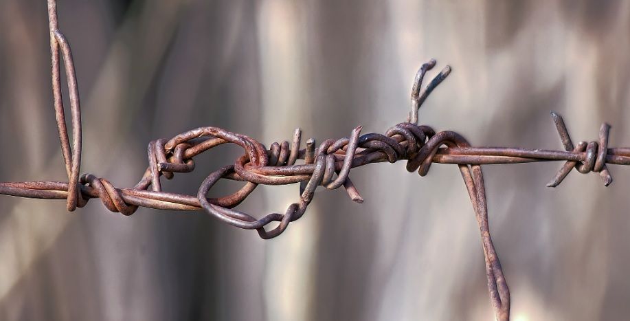 «Luces y Sombras» de la semana que pasó.