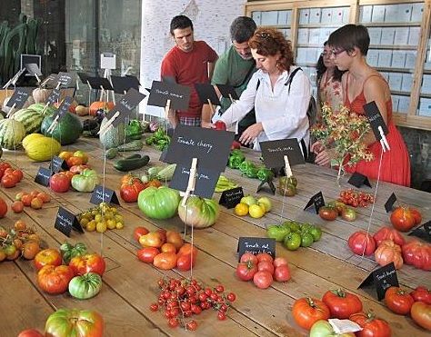  INTA y Crece Desde El Pie organizan la 7° Feria de Intercambio de Semillas