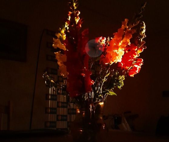 «Luces y Sombras» de la semana que pasó.