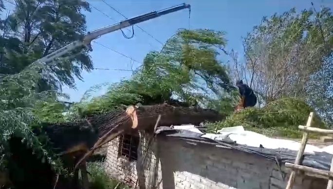 VIDEO Zonda en Valle de Uco, a las 21.00 hs panorama complicado