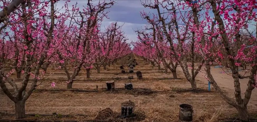 «Luces y sombras» de la semana que pasó