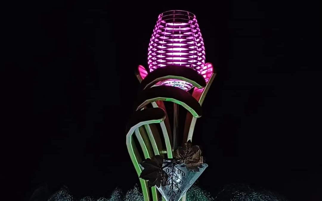 «Luces y Sombras» de la semana que pasó