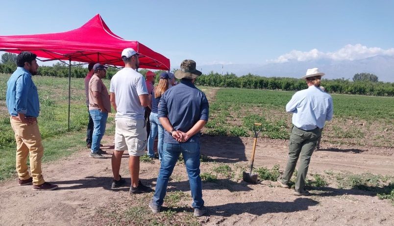 INTA La Consulta y «Tomate 2000» realizaron ensayos en Tunuyán