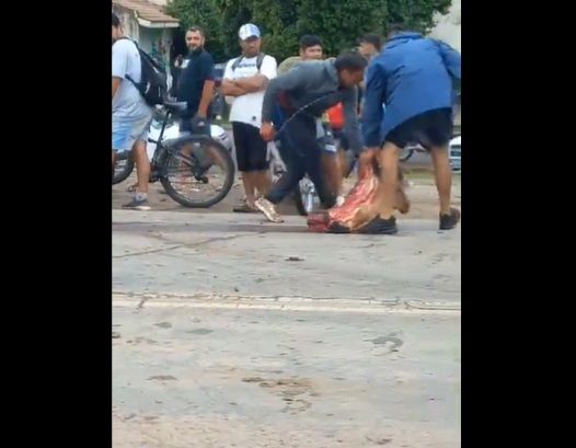 VIDEO En Río Cuarto volcó un camión con vacas, los vecinos las en medio de la ruta
