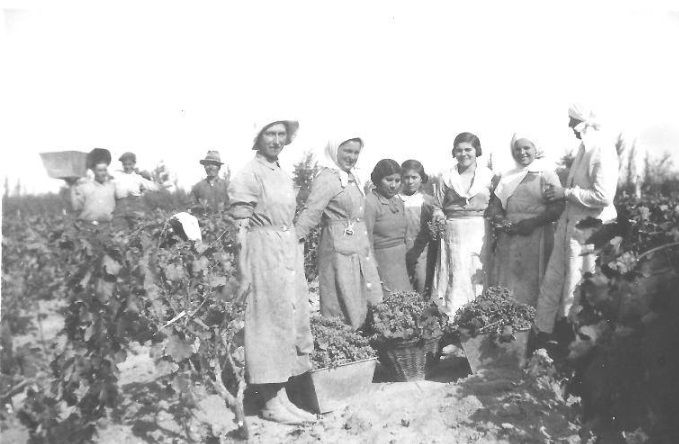 «Luces y sombras» de la semana que pasó