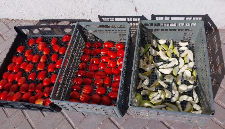 Taller de deshidratación de frutas y hortalizas a cargo del INTA Tupungato