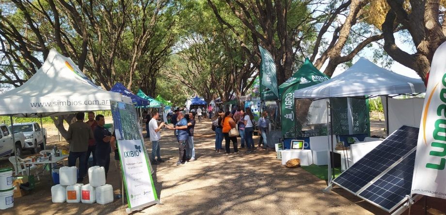 En vendimia, INTA realizó una jornada para la Viticultura