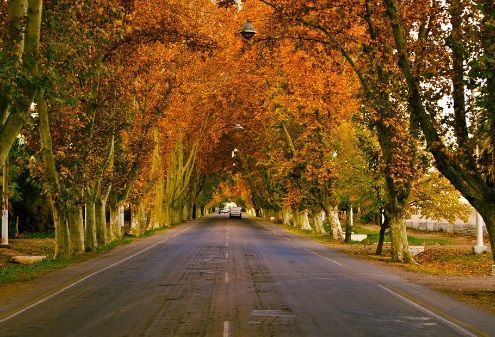 «Luces y Sombras» de la semana que pasó