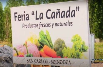«Ajo, tesoro culinario», este domingo habrá festival en San Carlos