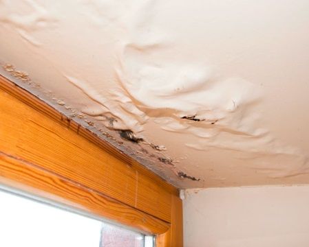 Casas anegadas, filtraciones y árboles caídos; el resultado de la última tormenta