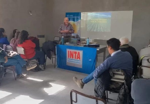 Capacitación sobre cultivo de ajo en instalaciones del INTA