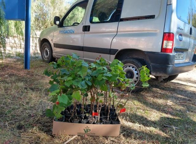 Irrigación trabaja en el uso de aguas grises para el riego