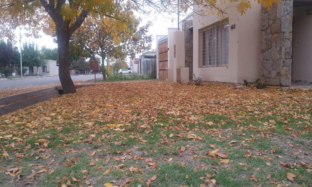 «Luces y Sombras» de la semana que pasó