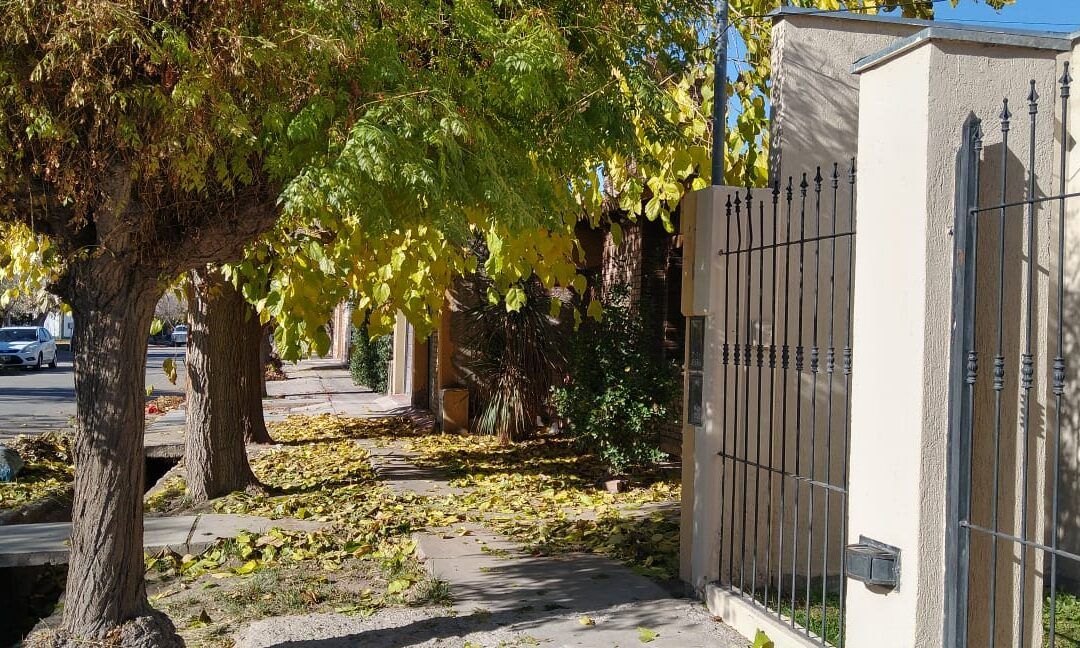 «Luces y Sombras» de la semana que pasó