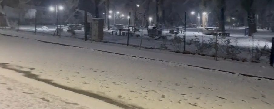 VIDEO Así nieva ahora en El Manzano