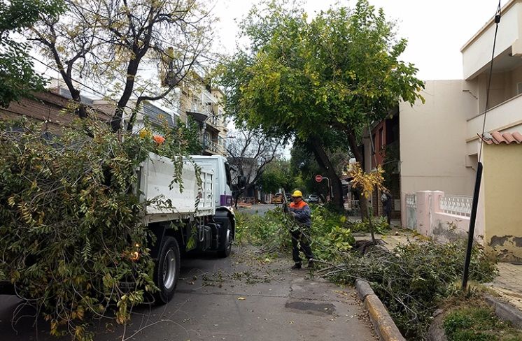 Trabajos de poda en Godoy Cruz, este será el recorrido