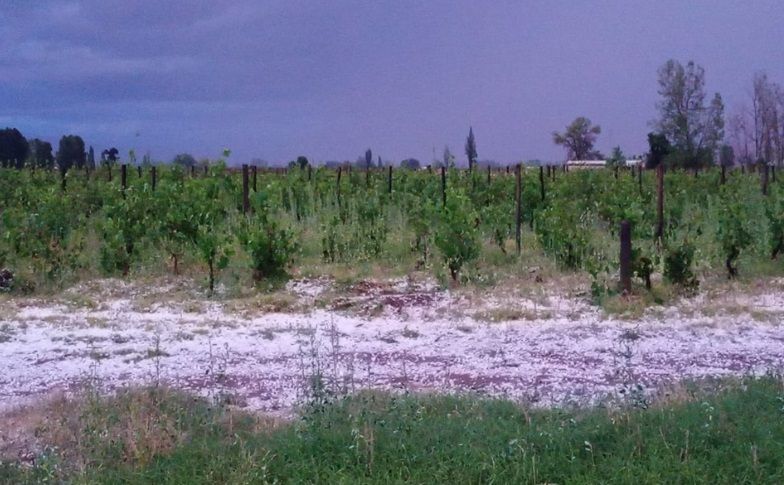 VIDEO Fuerte tormenta granicera en San Carlos