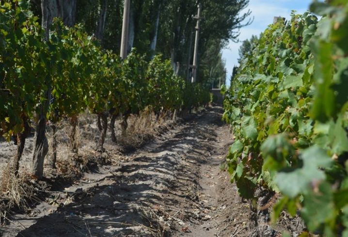 «Luces y Sombras» de la semana que pasó