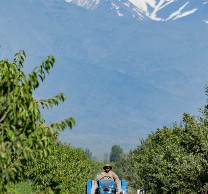 «Luces y sombras» de la semana que pasó