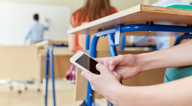 Para seguir con atención: Francia busca una ley que prohíba las redes sociales a menores de 15 años