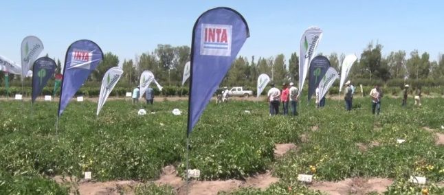 INTA La Consulta tiene todo listo para el «Día de Campo»