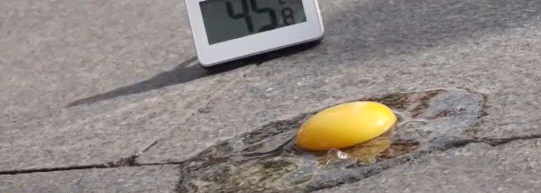 «Luces y Sombras» de la semana que pasó