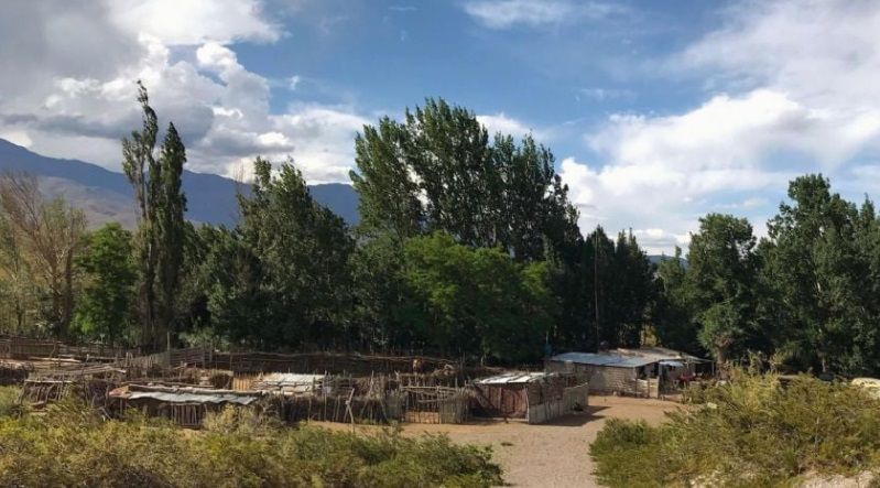 «Luces y Sombras» de la semana que pasó