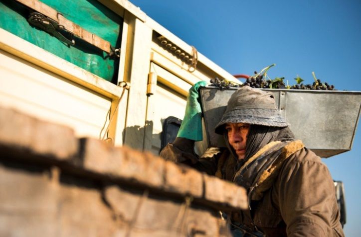 «Luces y Sombras» de la semana que pasó