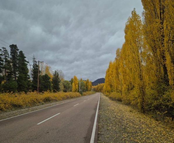 «Luces y Sombras» de la semana que pasó