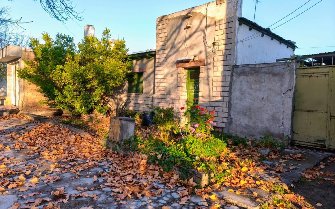 «Luces y Sombras» de la semana que pasó