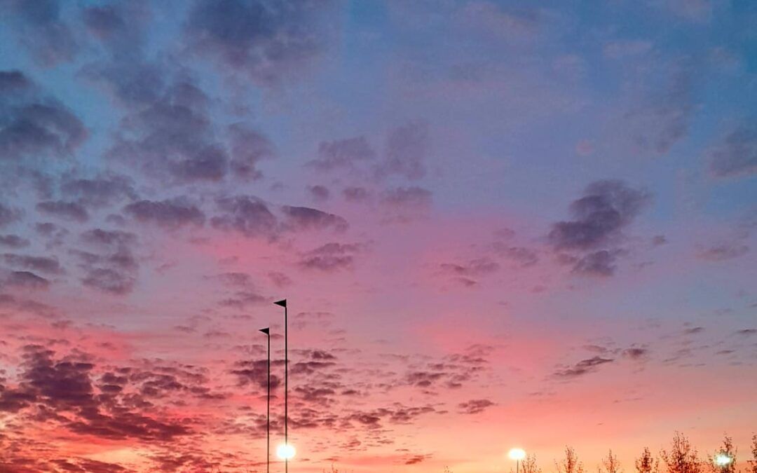 «Luces y Sombras» de la semana que pasó