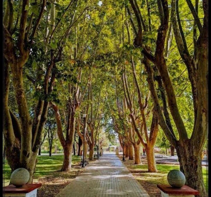 «Luces y sombras» de la semana que pasó