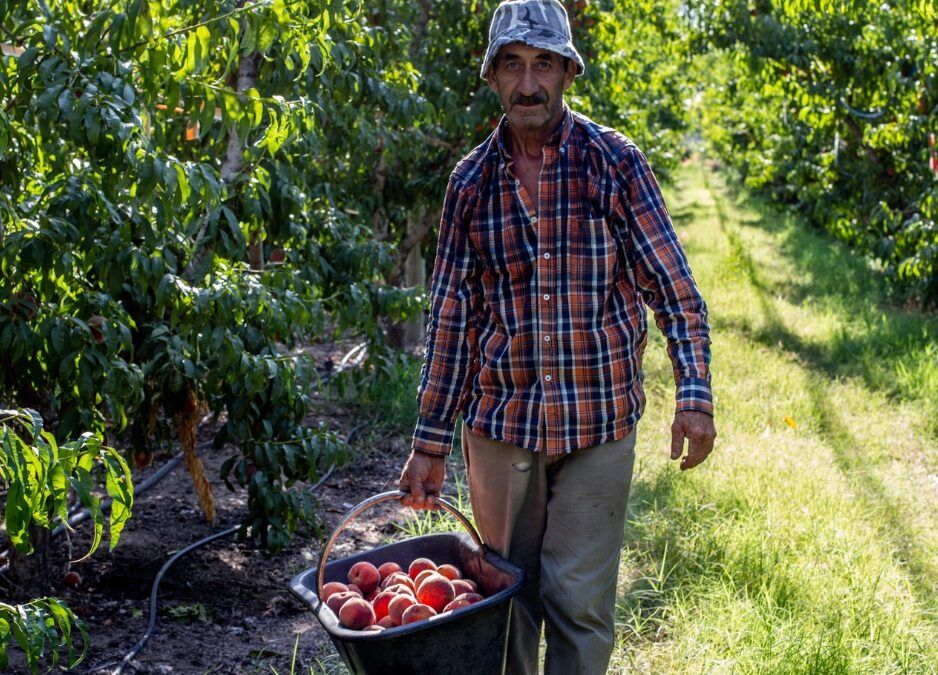 «Luces y Sombras» de la semana que pasó