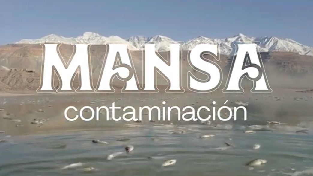 VIDEO Proyecto San Jorge, se prepara una fuerte oposición