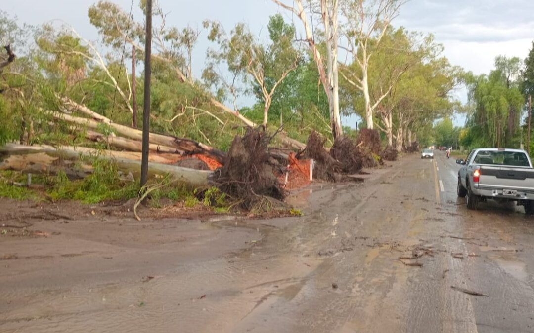 Temporal en Mendoza: amplio operativo y sin víctimas