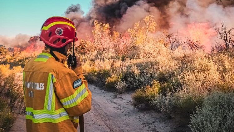 Fuertes multas por hacer fuego en áreas prohibidas de Mendoza