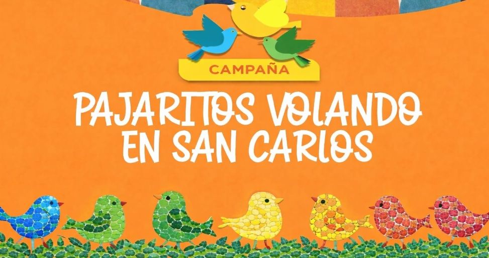 «Pajaritos volando», San Carlos por la esperanza en el cáncer infantil