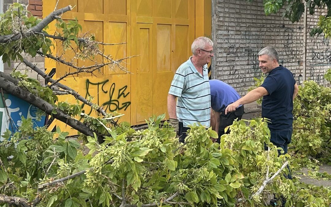 Intensos trabajos en Godoy Cruz luego de la fuerte tormenta
