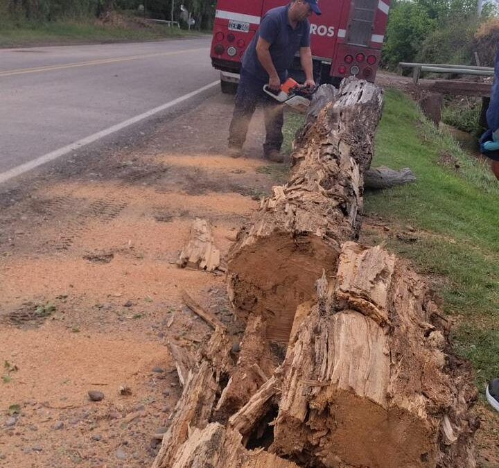 Importamtes tareas de limpieza en San Carlos luego de las tormentas