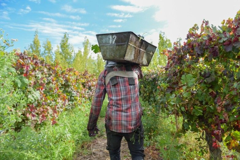 «Luces y Sombras» de la semana que pasó