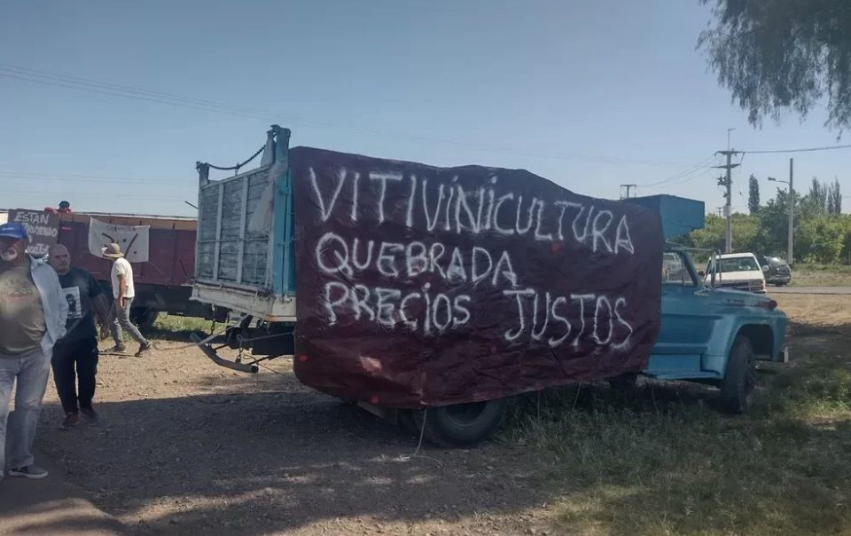 Preocupante. En 10 años, Mendoza cayó casi a la mitad la superficie cultivada