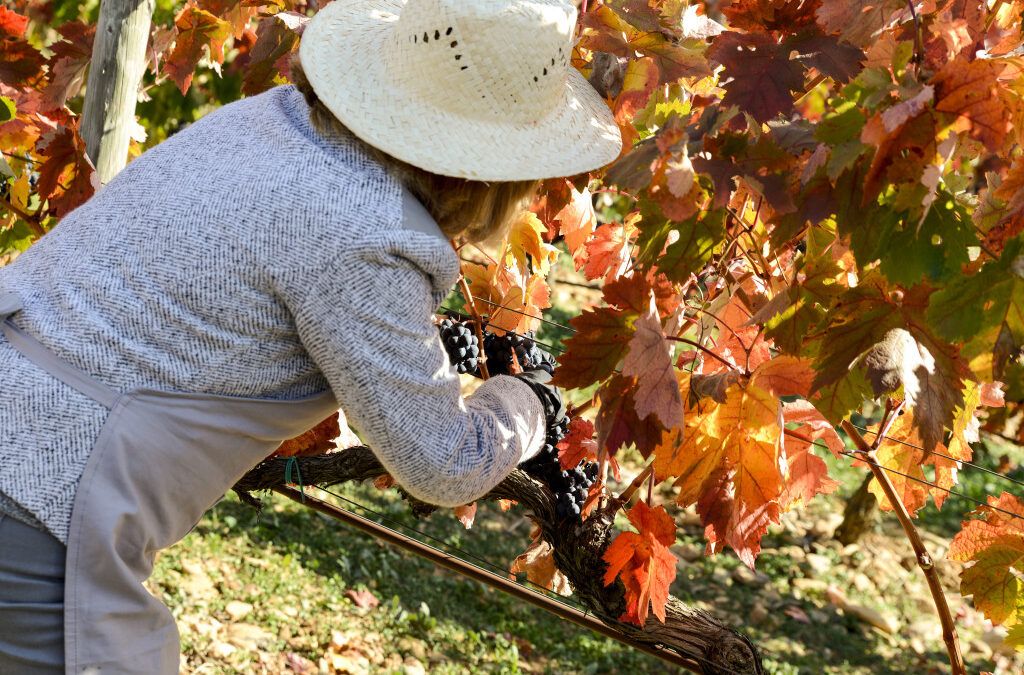 «Luces y Sombras» de la semana que pasó