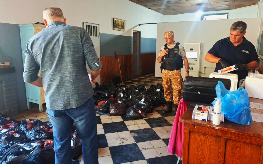 Faena de equinos, detuvieron a personas en Tres Esquinas