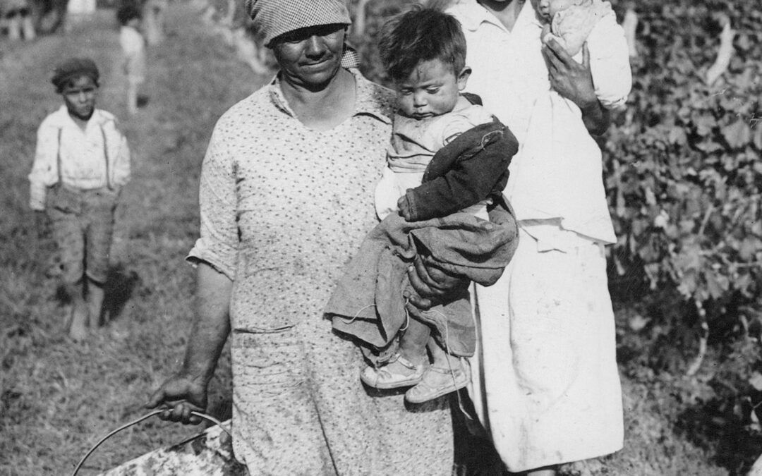 «Luces y Sombras» de la semana que pasó